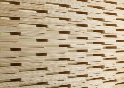 Vladimir Radutny Architects