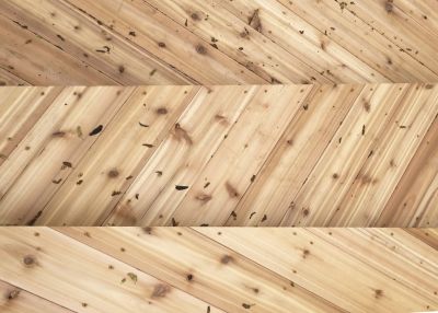 Vladimir Radutny Architects