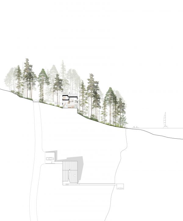 Site Section